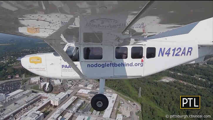 PAART Takes Off For Gulf Coast To Rescue Dogs Surrendered By Hurricane Victims