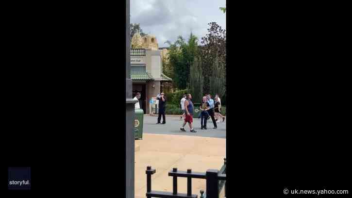 Anti-Mask Demonstrator Ejected From Disney World While Misquoting 'A Bug's Life'