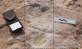Seven footprints may be the earliest evidence of humans on the Arabian Peninsula