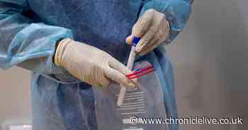 Gateshead's mobile coronavirus testing centre arrives a day late - Chronicle Live