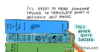 Can a Book Capture the Magic of Birding?