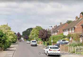 Bromley resident thwarts theft after shouting at burglars