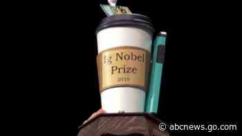 Poop knives, arachnophobic entomologists win 2020 Ig Nobels