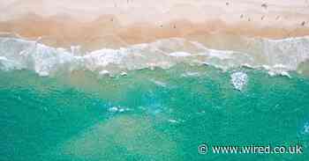 You’ve not used up your holiday allowance and now it’s too late