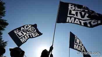 Houston homeowners say HOA won't let them display Black Lives Matter support | TheHill - The Hill