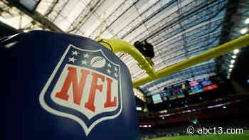 Houston Texans awaiting OK to seat up to 15,000 fans for Vikings game next month - KTRK-TV