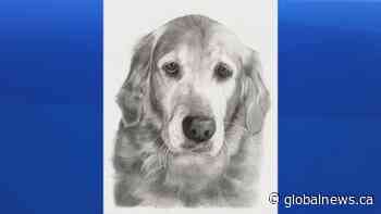 Pencil Realism Artist Mark Gothreau