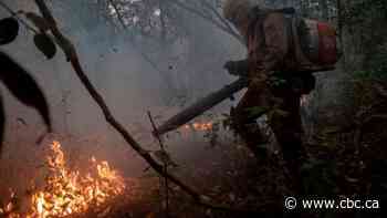 A huge wetland is burning in Brazil, and the fires are far bigger than California's