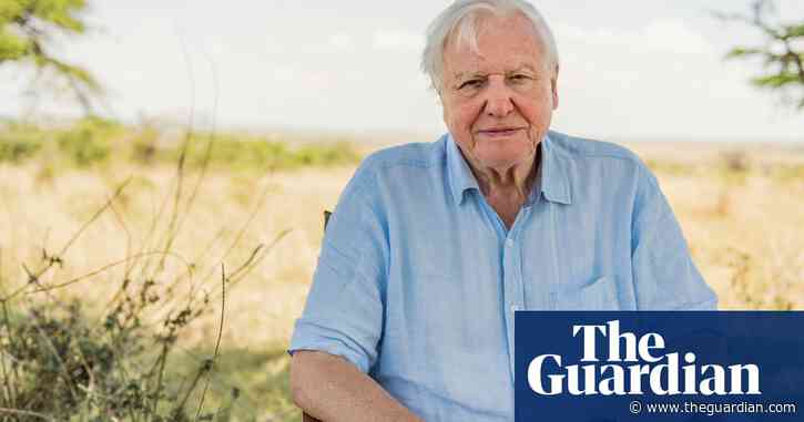 Don't look away now: are viewers finally ready for the truth about nature?