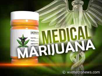 State is ready to announce the first medical marijuana farms - West Virginia MetroNews