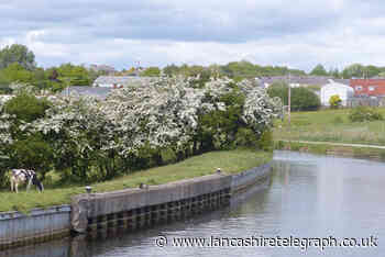Lowerhouse Lane: Area around Leeds Liverpool Canal cordoned off after unexploded grenade found