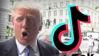 President Trump to Ban TikTok and WeChat from App Stores by Sunday