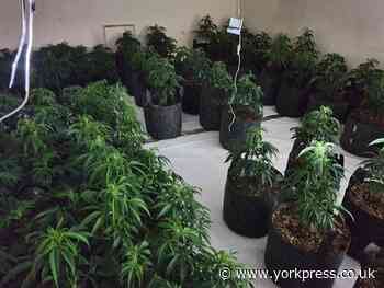 Cannabis farm discovered in old  Matrix nightclub building