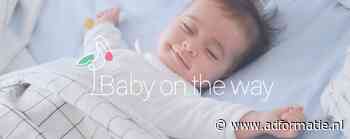 Velux kiest voor Bombilate van Stacey Rookhuizen