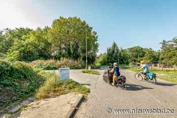 Online petitie kaart kaalslag aan: “Stop de bomenkap aan Oude Antwerpsebaan, het is een ramp voor de natuur”