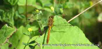 Challenge changes to the planning system that could impact - Gary Skentelbery