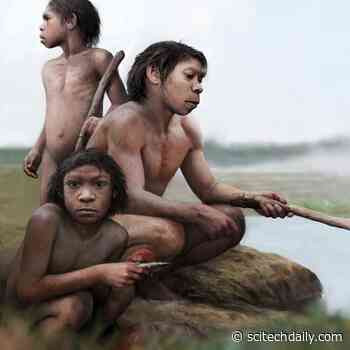 Our Early Ancestors May Have Boiled Their Food in Hot Springs Long Before Learning to Control Fire