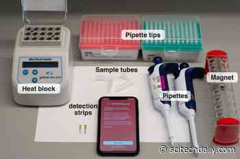 MIT’s New CRISPR-Based Rapid Test for COVID-19 Shows Improved Sensitivity