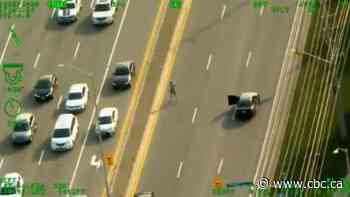 Helicopter video shows lengthy car chase, attempted carjacking in Vaughan