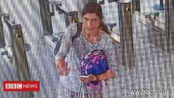 Zivile Jokubonyte: Missing woman and son 'left UK for Spain'