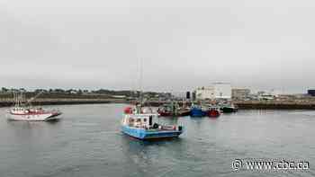 Arrests made amid ongoing tensions as Mi'kmaw lobster fishery begins