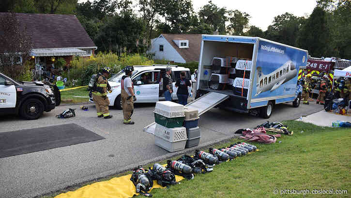 Mother, Son Face Dozens Of Animal Abuse Charges After 117 Dogs Rescued From Ross Township