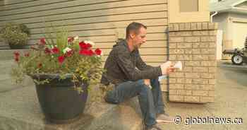 Lethbridge family airs WestJet woes after flight cancellation; warns others to be diligent