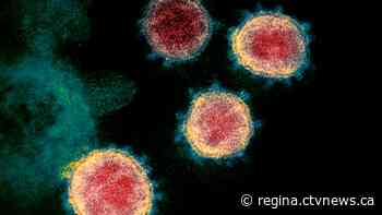 19 new Sask. coronavirus cases reported; 113 considered active - CTV News