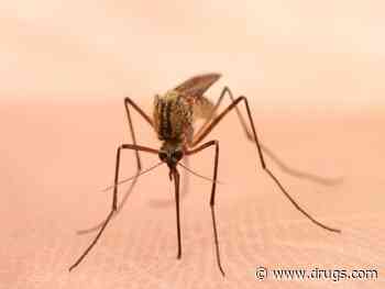 Warning Issued on Potentially Deadly Mosquito-Borne Virus in Michigan