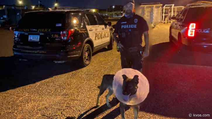 TPD K9 returns to duty after being shot