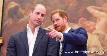 Prince William ‘livid’ at Prince Harry’s Netflix deal amid Diana portrayal