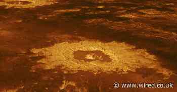 This is what life on Venus might look like – and how we’ll find it