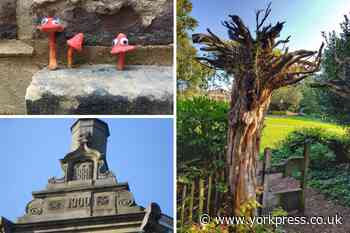 12 more images of "hidden" York - can you identify them?