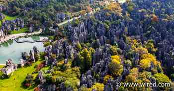 Mathematicians May Have Figured Out How ‘Stone Forests’ Form