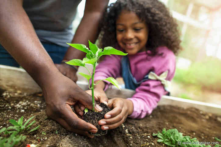 What you’ll want to plant right now in your garden