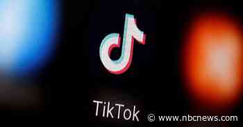 Trump not ready to OK TikTok deal, admits U.S. won't get cut