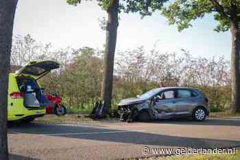 Auto knalt tegen boom in Renswoude