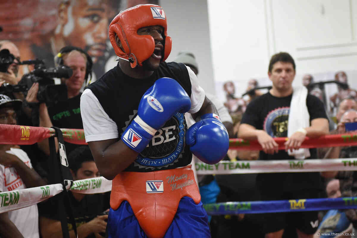 Floyd Mayweather once KO’d heavyweight with brutal body shot during a sparring session as training secrets a - The Sun