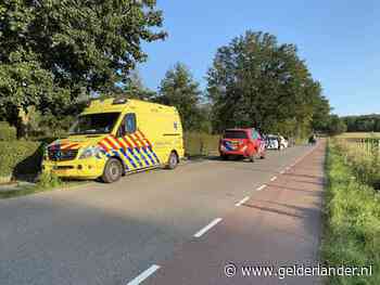 Koets over de kop in Lunteren: berijder raakt gewond, pony's gaan er met koets vandoor