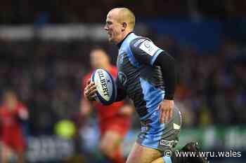 Fish makes move into coaching - Welsh Rugby Union