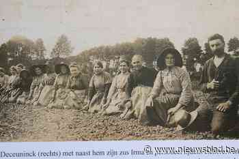 FOTO. – Cichoreiteelt en seizoenarbeid stelen de show Open Monumentendag - Het Nieuwsblad