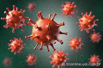 Faxinal registra quarto óbito por coronavírus - TNOnline - TNOnline