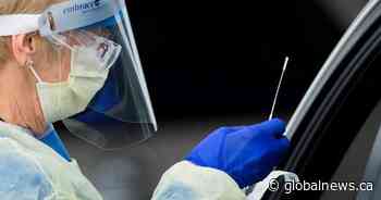 Saskatchewan reports 11 new cases of COVID-19, hits single-day testing record