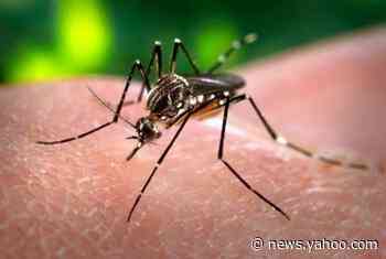 Mosquito-borne EEE spreading in Michigan, officials say. 6 more animal cases identified.