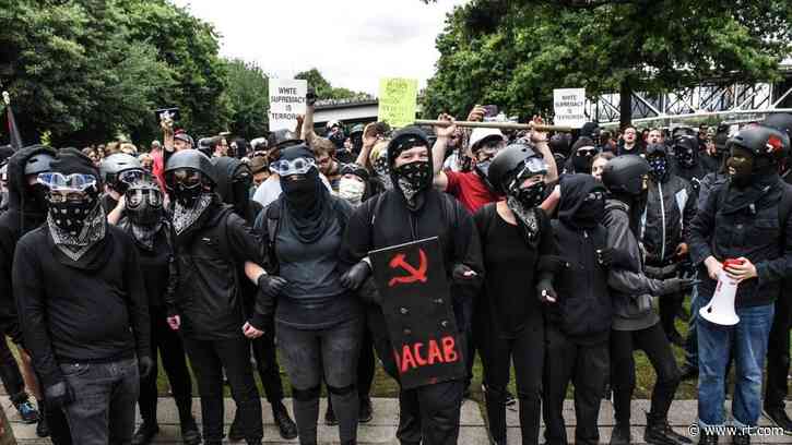 ‘F**k you and your dog!’: Antifa gang attacks car with hammers, threaten dog inside