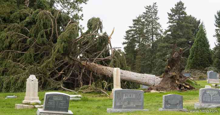 City surveys damage winds heaped on top of cemetery’s already crumbling infrastructure