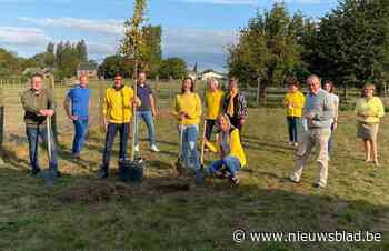 Meerderheid verwerpt boomplantvoorstel N-VA - Het Nieuwsblad