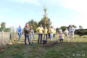 Plant een boom in Beernem - Krant van Westvlaanderen