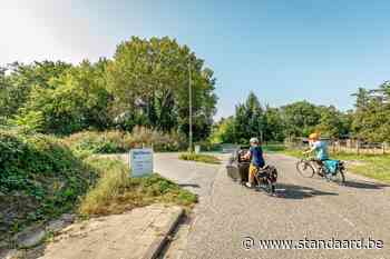 'Bomenkap Mechelen-Noord betekent ramp voor natuur' - De Standaard