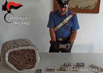 Ha in casa 3,5 kg di "erba" e 480 gr di "fumo" arrestato nel Milanese - askanews
